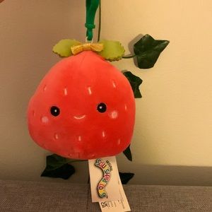 ⭐️3/20⭐️Scarlet strawberry Squishmallow clip